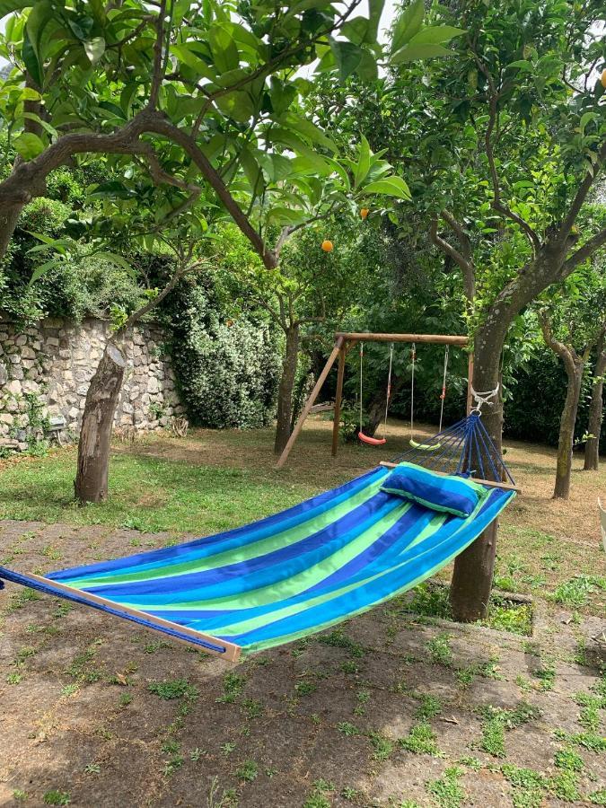 My Place Home & Garden Meta Esterno foto