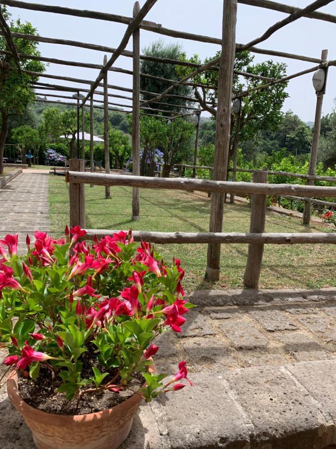 My Place Home & Garden Meta Esterno foto